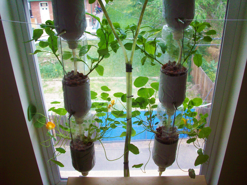 Windowfarms Hydroponic Indoor Garden