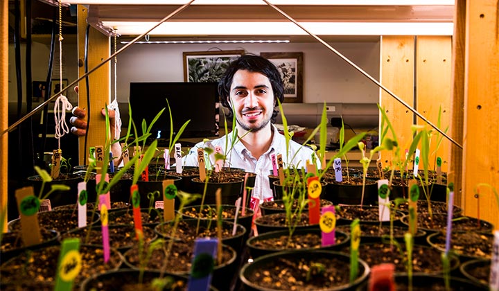Ferris Zahlan, MASc student, in greenhouse lab