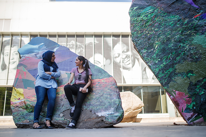 Two students talking to each other while leaning against a rock in front of Lake Devo.