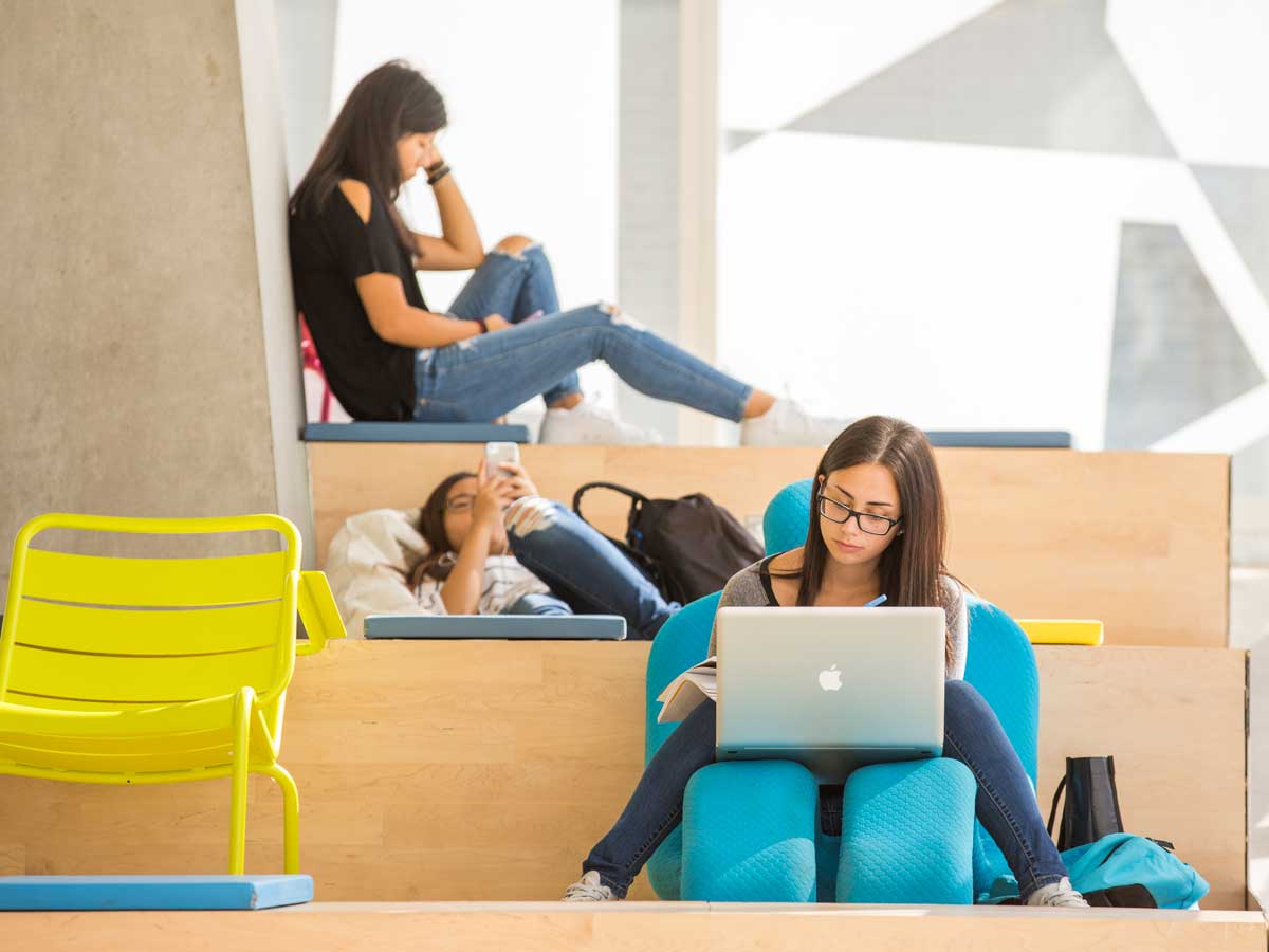 Students studying in the Student Learning Centre