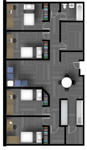 Single in a 4-5 bedroom apartment