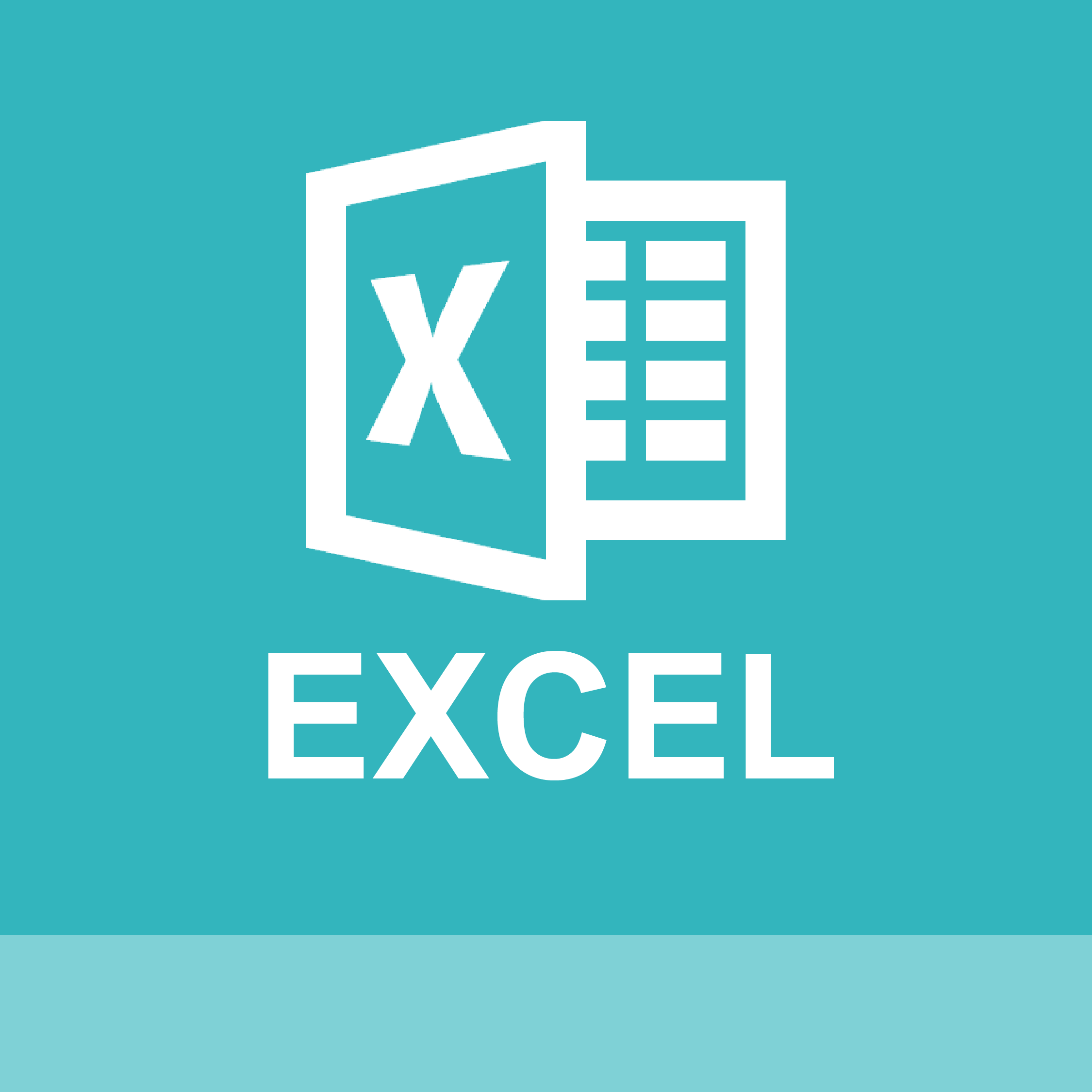 Excel Challenge