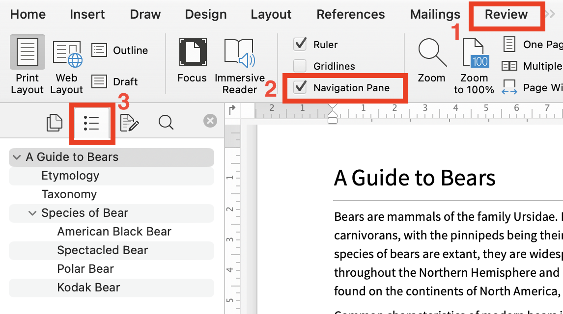 Screenshot of the navigation pane enabled in Microsoft Word via the Review tab.