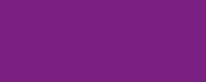 A violet rectangle swatch.