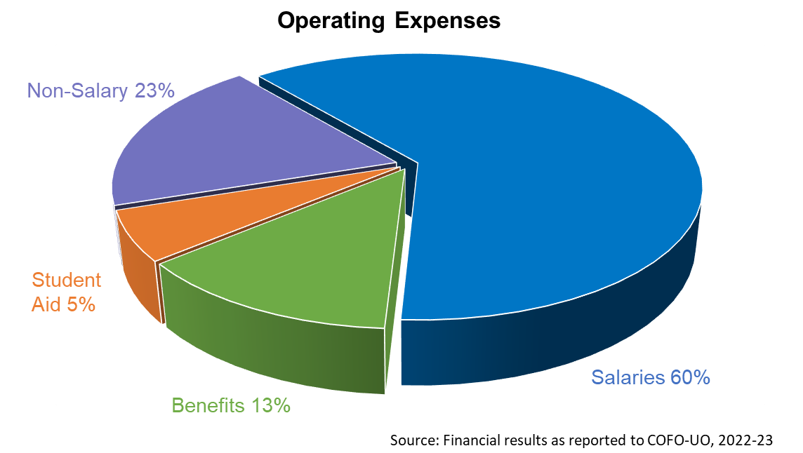 Pie chart showing expense distribution: salaries 60%, non-salary 23%, benefits 13%, student aid 5%.