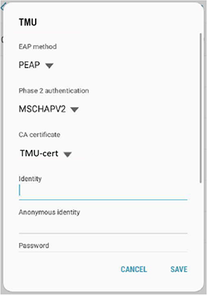Certificate authentication window