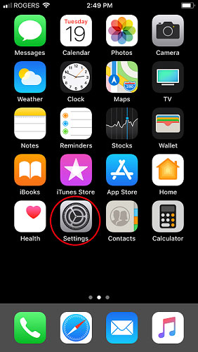 iOS Homescreen with the Settings icon highlighted.