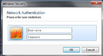 Network Authentication window. Enter your user name and password then click OK.