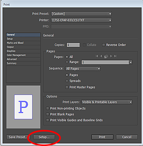 Adobe InDesign Print Window. Setup button highlighted.