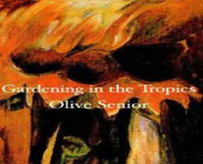 Book Cover of Olive Senior's "Gardening in the Tropics"