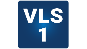 VLS 1.0 Icon