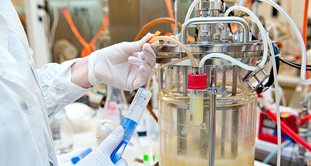 Chemical engineer taking a sample from a biotechnological bioreactor in a microbiological lab