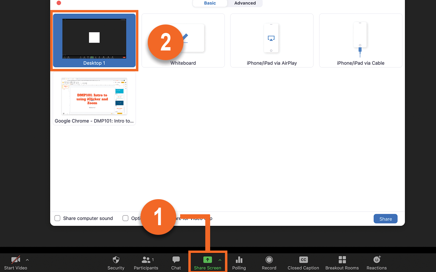 Sharing your screen and selecting the desktop view