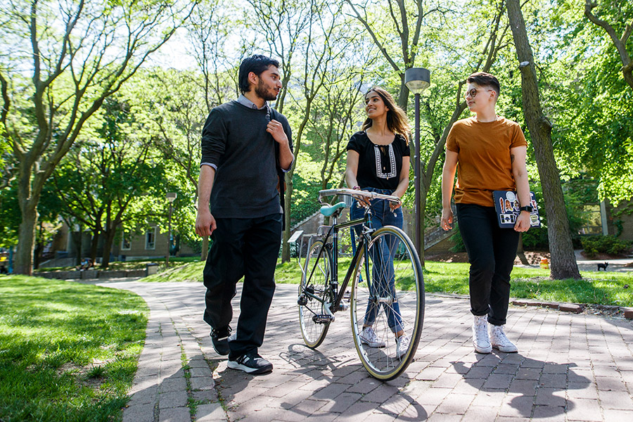 Three students walk together on a sunlit path in the Quad. One student is walking with a bike while another carries a laptop.