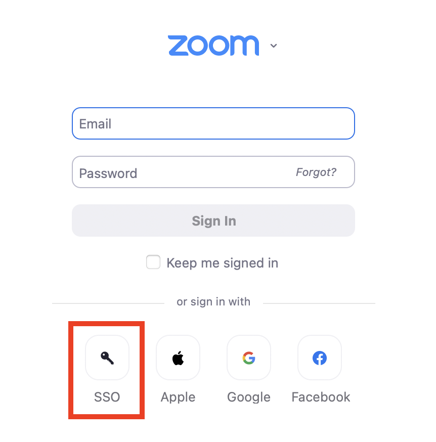 The SSO button is located after the email and password field.
