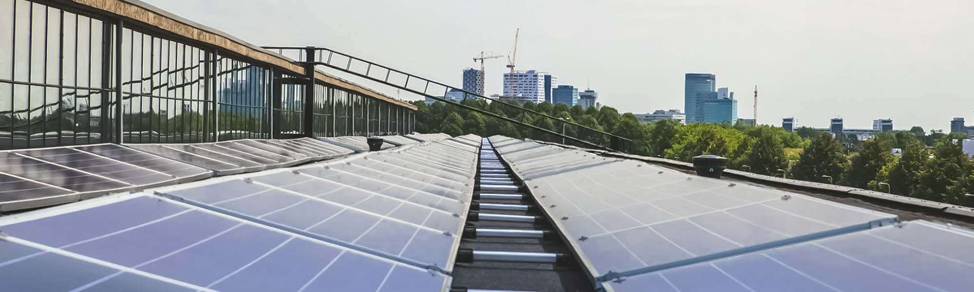 Solar panels stretch into the horizon of green trees and a cityscape.