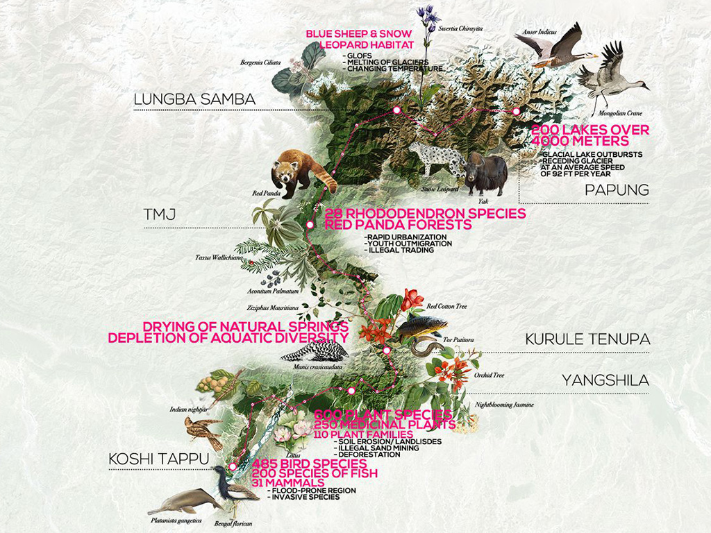 An illustration of Nepal's diverse ecosystems across over 4,000 meters of elevation