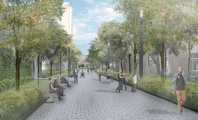 Rendering of proposed Nelson Mandela Walk as it will appear with mature landscaping on both sides of the walkway.