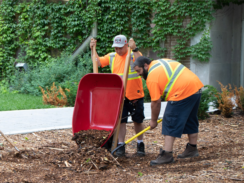 Crew members work on campus landscaping in summer.