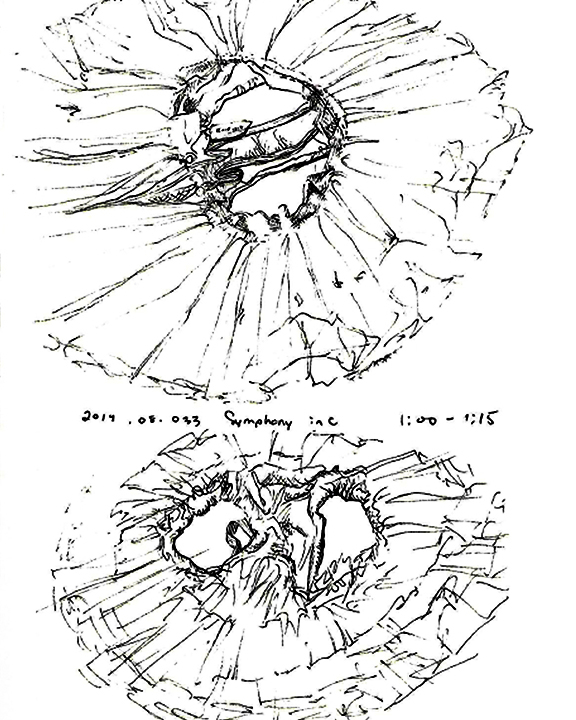 Sketch of ballet tutu