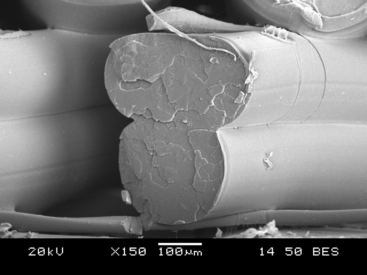 Scan electron microscopy of a fractured coupon