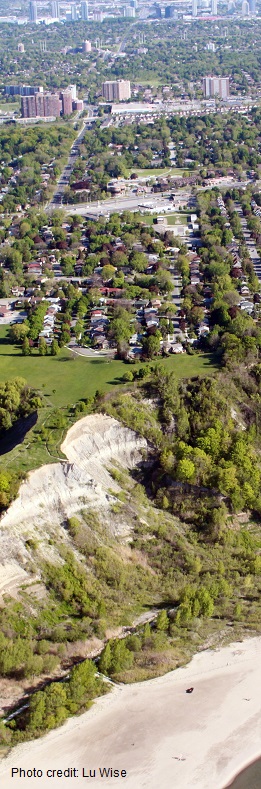 Air photo by Lu Wise showing treed residential neighbourhood