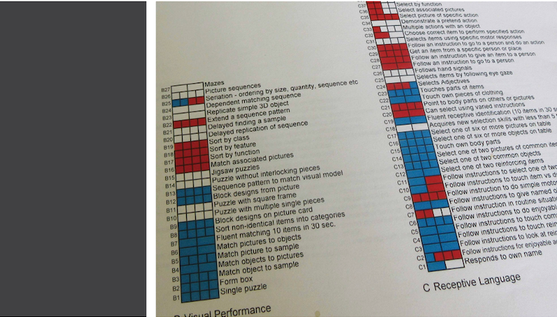 Language Assessment scale with some boxes filled in red and blue. 