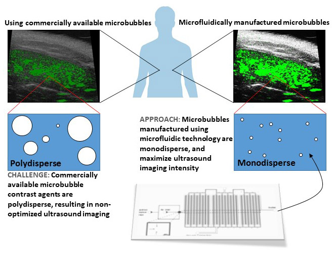 Microfluidic generation of microbubbles and nanobubbles