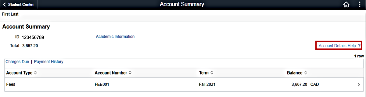 The Account Summary page with the Account Details Help link at the top right of the page highlighted