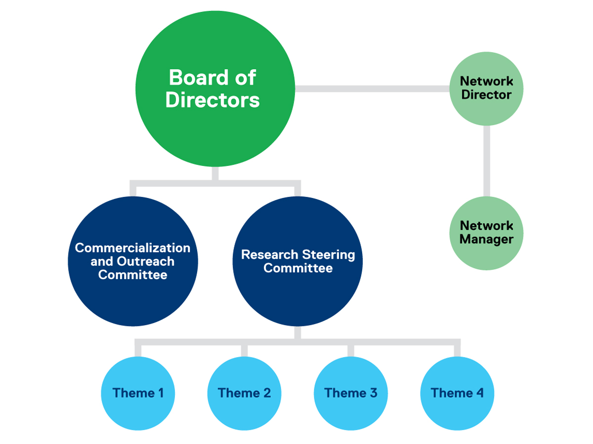 NESTNet governance chart showing hierarchy 