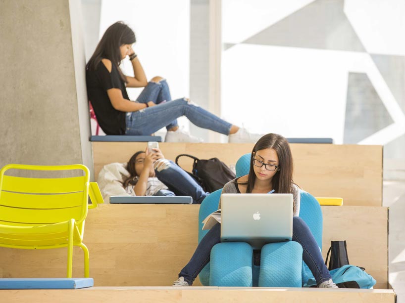 Students studying in the Student Learning Centre