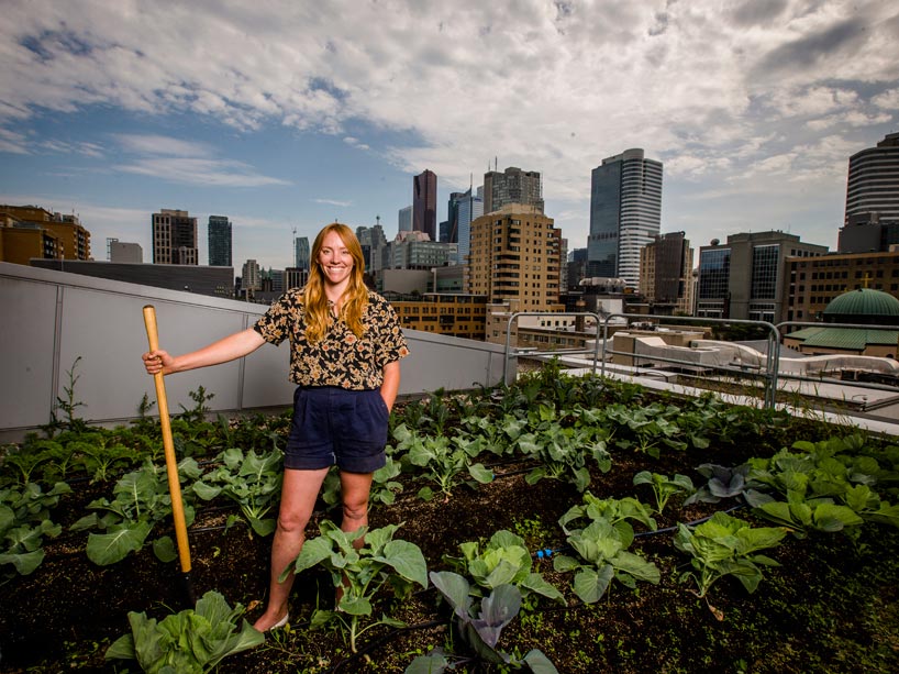 Arlene Throness stands in a row of green leafy vegetables holding a wooden-handled hoe, in a corner of the Ryerson Urban Farm, overlooking the cityscape of Toronto