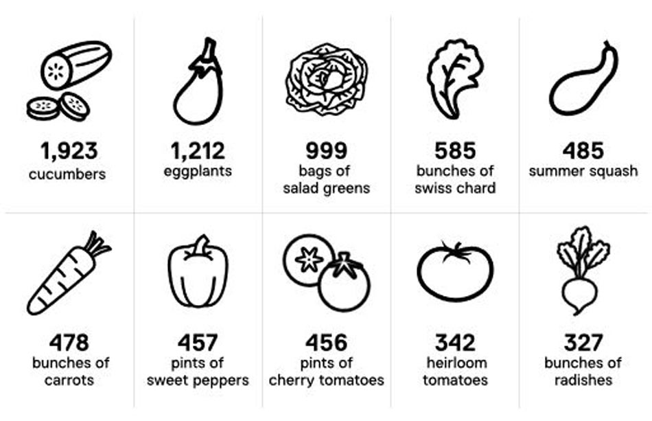 Illustrations for each of the top Ryerson Urban Farm crops for 2018, with the total number grown appearing under each illustration – 1,923 cucumbers, 1,212 eggplants, 999 bags of salad greens, 585 bunches of swiss chard, 485 summer squash, 478 bunches of carrots, 457 pints of sweet peppers, 456 pints of cherry tomatoes, 342 heirloom tomatoes, 327 bunches of radishes