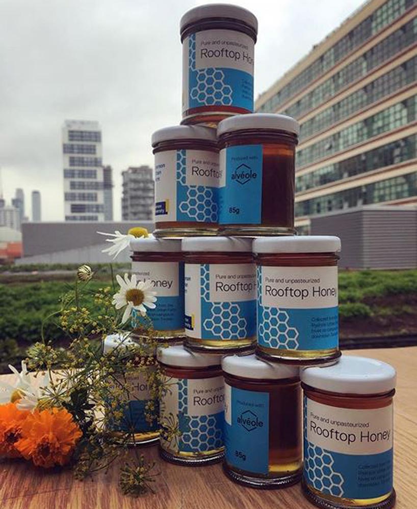10 jars labelled “Rooftop Honey” are stacked on a wooden table in the Ryerson Urban Farm, with the cityscape of Toronto in the background
