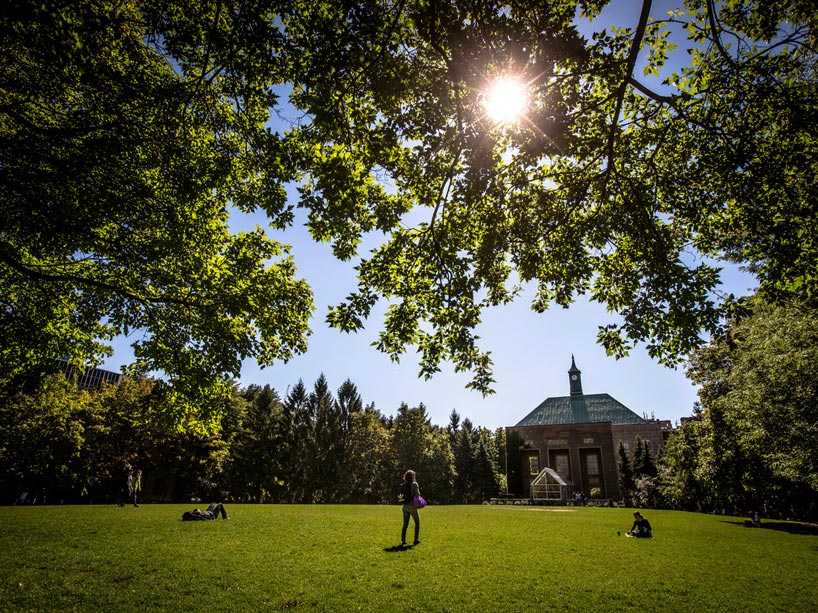 Students in the quad on a sunny day