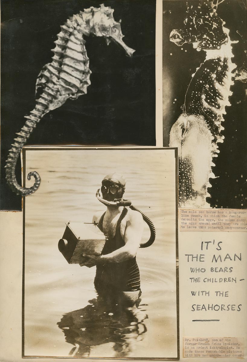 An image of a man wearing scuba-diving gear is juxtaposed with images of two sea horses and some text cut out from another magazine and pasted in the mock-up magazine