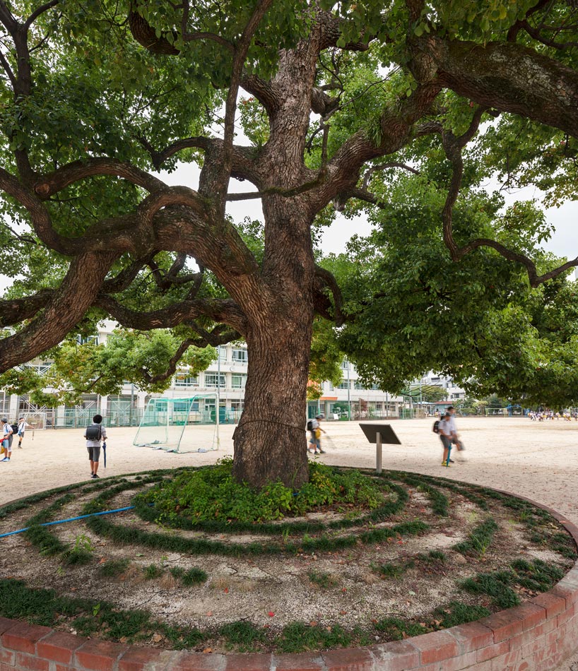 A large tree in a playground with children playing in the background