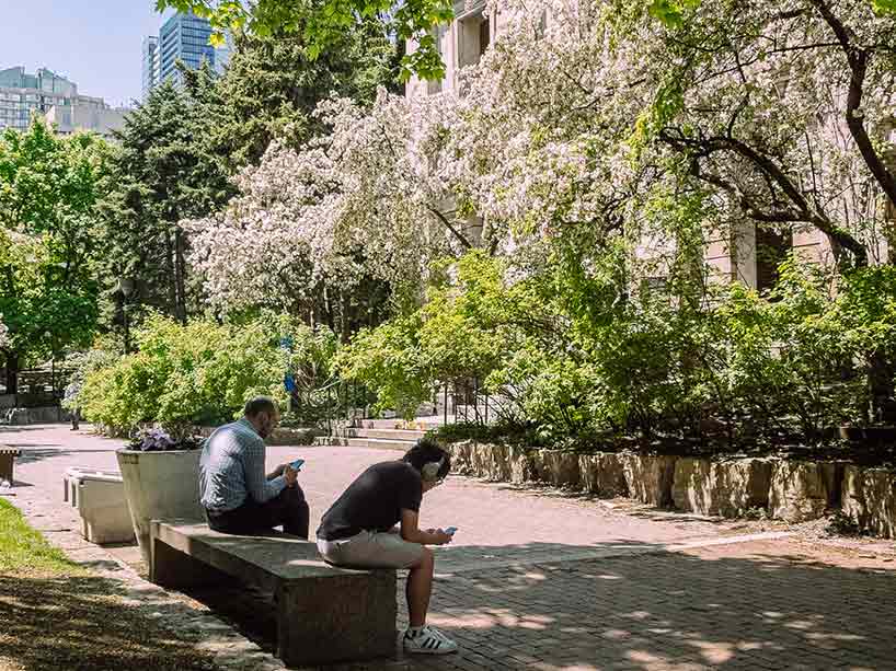 Two people sitting on a bench on a pathway covered in plants and flowers on the Ryerson campus