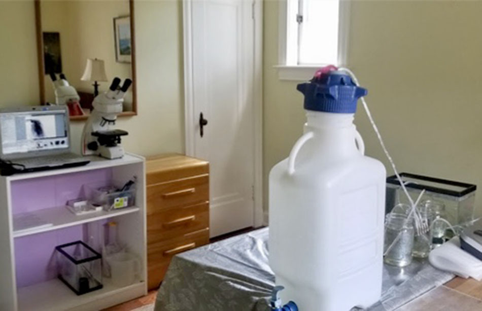 Bedroom converted to makeshift laboratory with scientific equipment for experiments