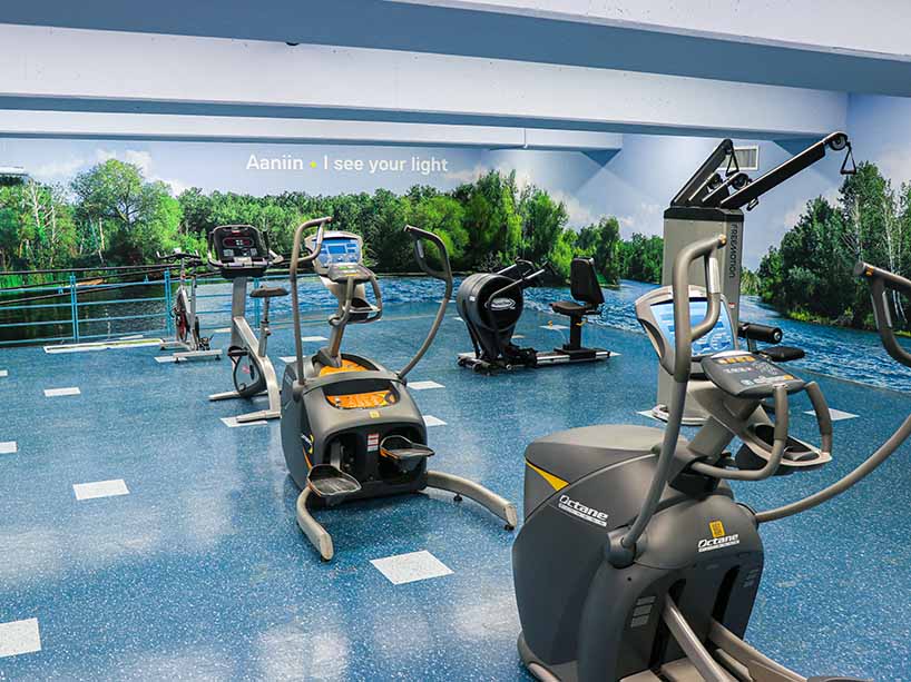 Cardio and strength equipment and photographic wall murals depicting trees, water and other nature