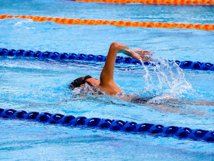 A swimming does laps in the TMU pool during lane swim.