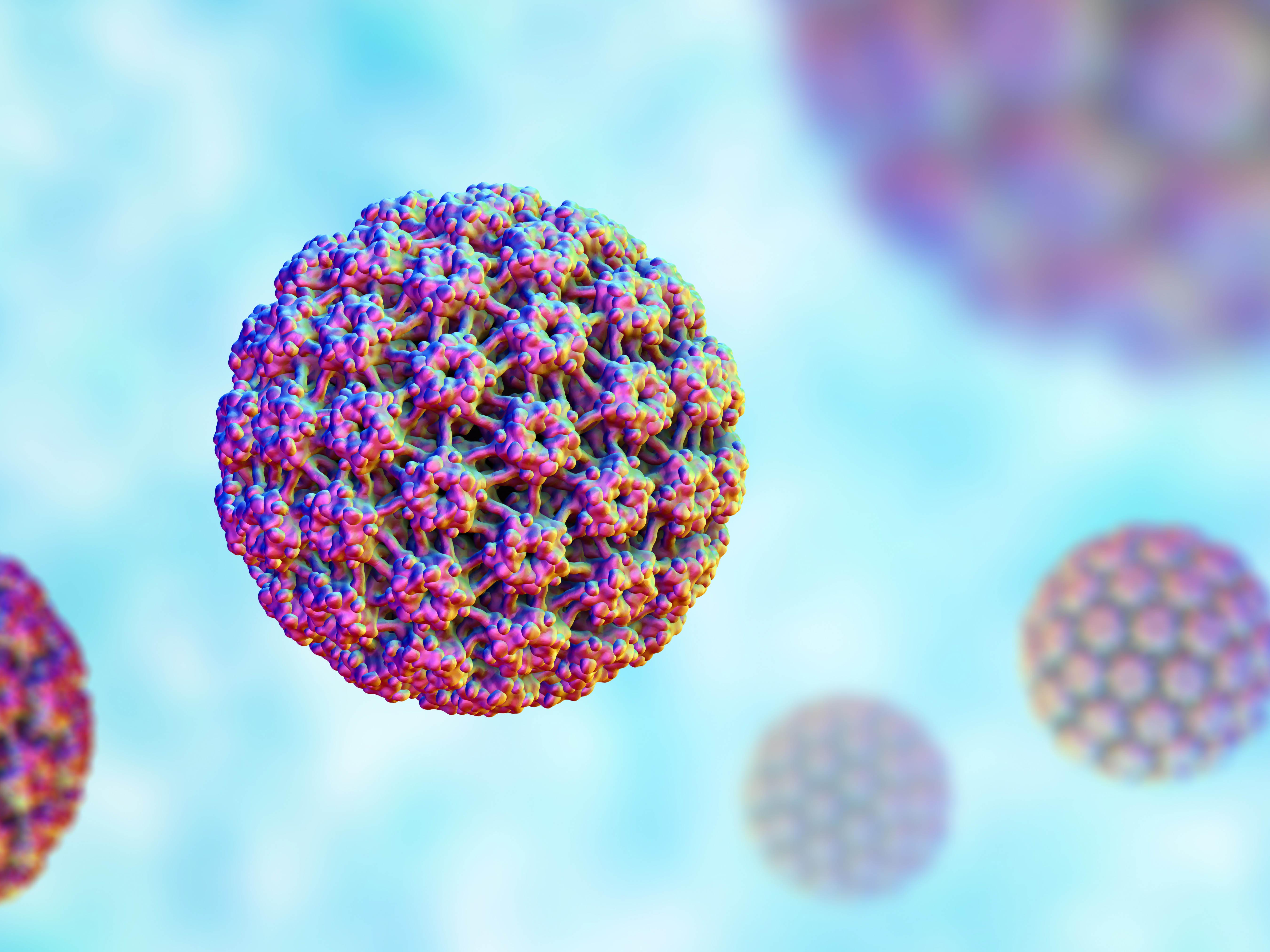 3D illustration of human papilloma virus (HPV)