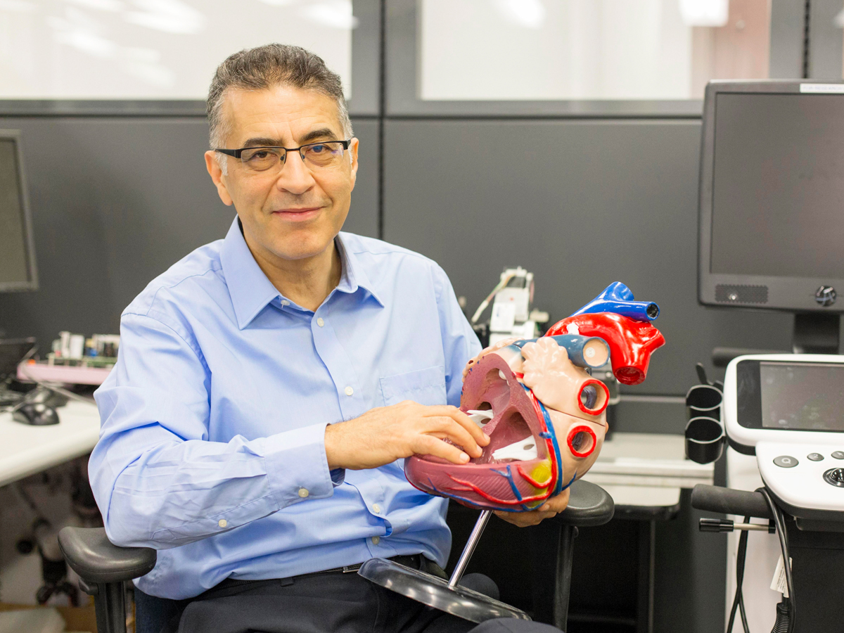 Professor Farrokh Janabi-Sharifi holding a large colour-coded model of the human heart