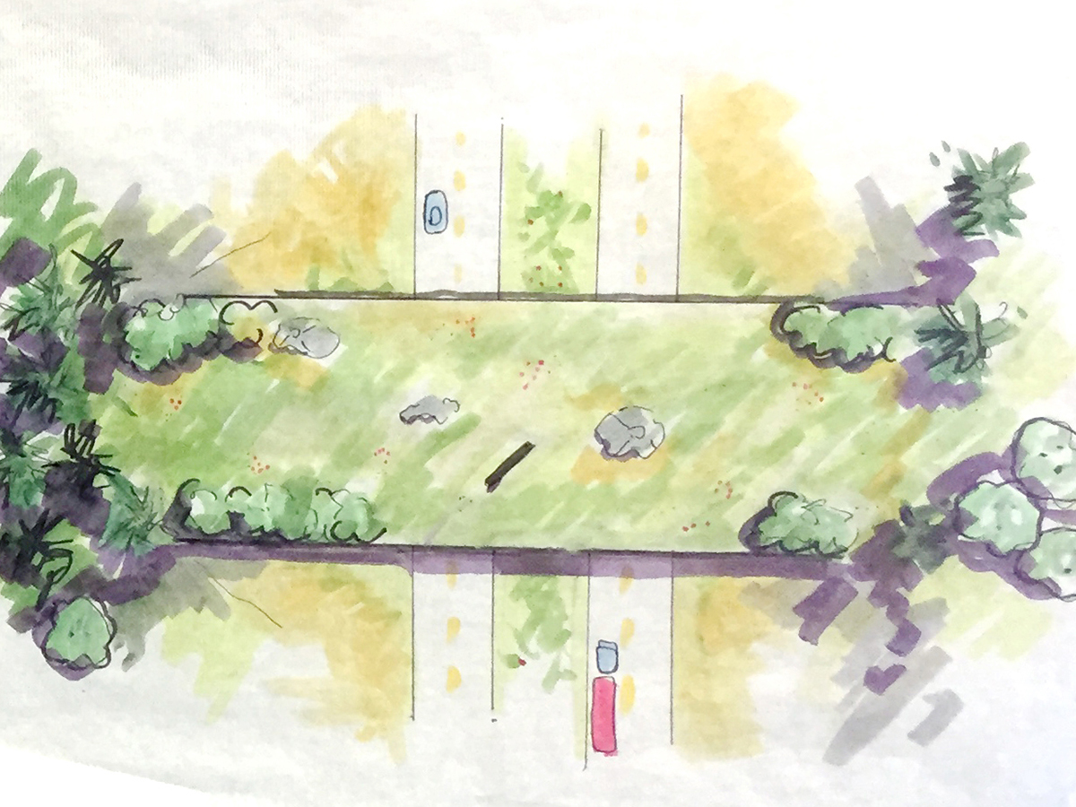 A hand drawn mock up of potential designs for a grass-covered overpass, permitting wildlife to cross a road