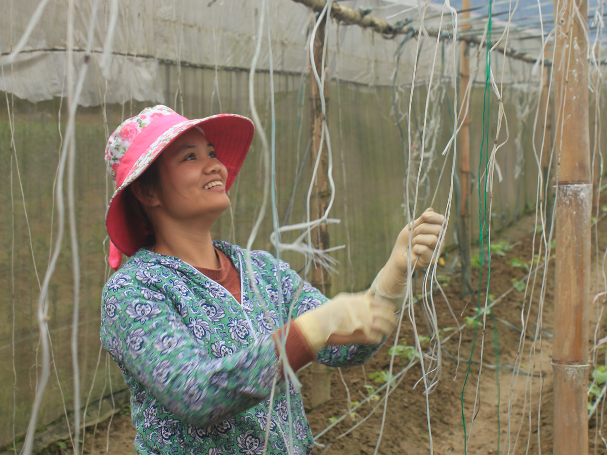A Vietnamese woman tying up vegetables on a farm