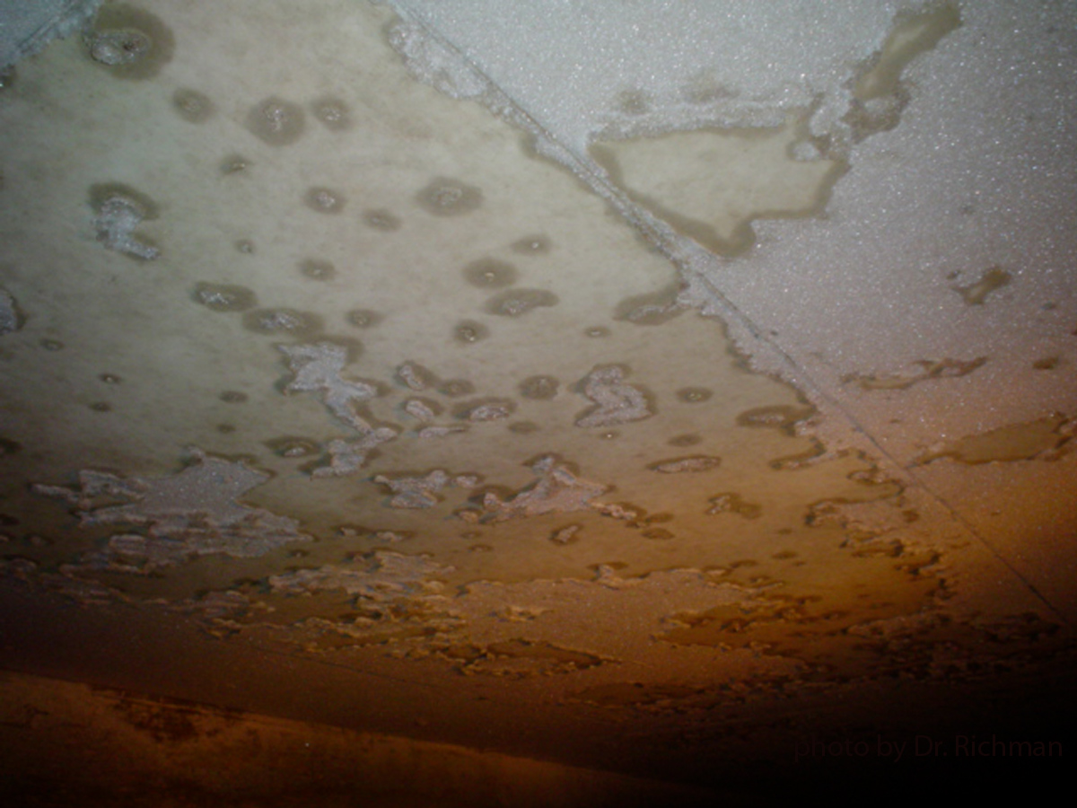 Frost on ceilings