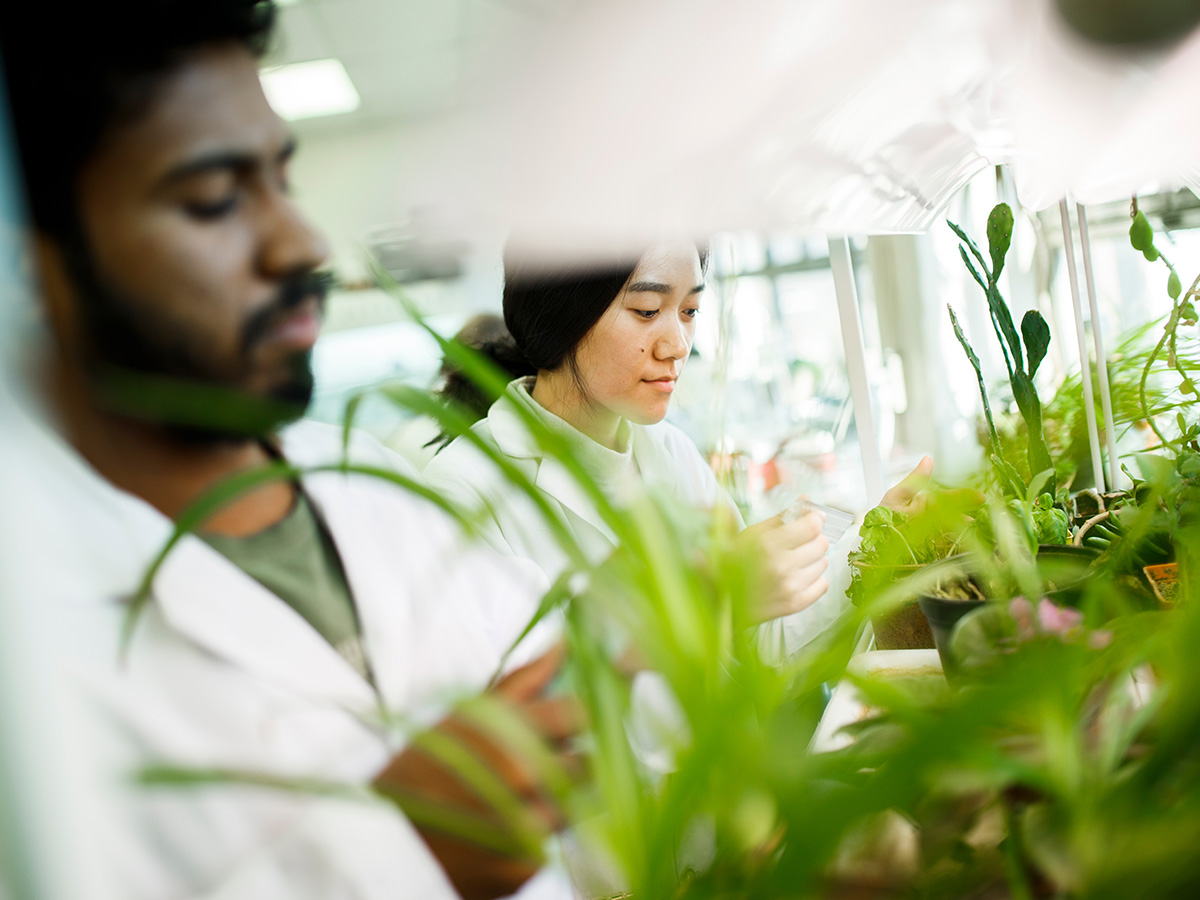 Biology students in lab with plants in the foreground