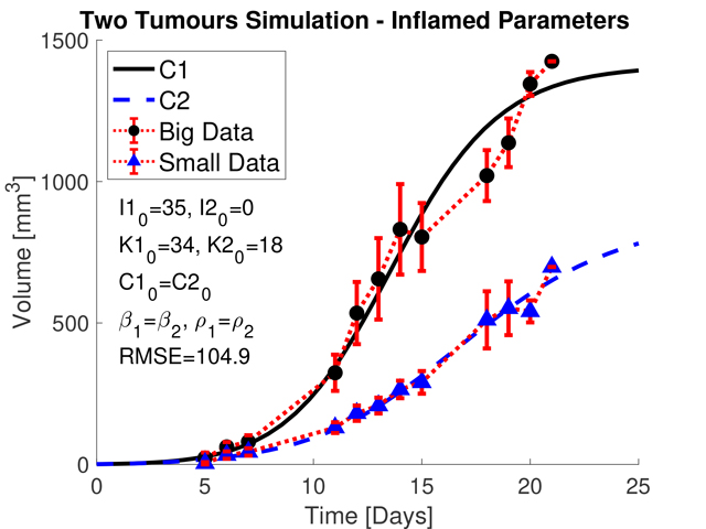 Two tumours simulation - Inflamed paramters