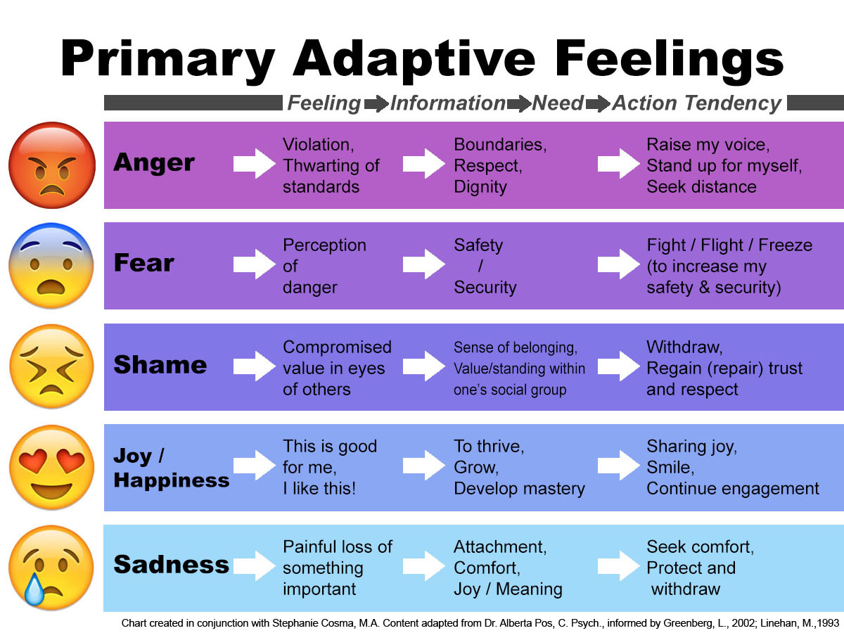 Primary feelings chart