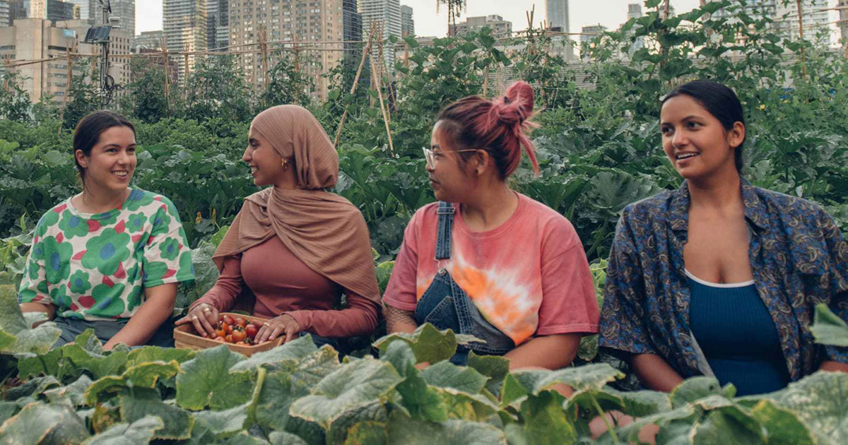 Four individuals sitting amidst the crops at TMU's Urban Farm. They are smiling, chatting, and harvesting fresh produce, showcasing a harmonious blend of sustainable agriculture and community engagement.